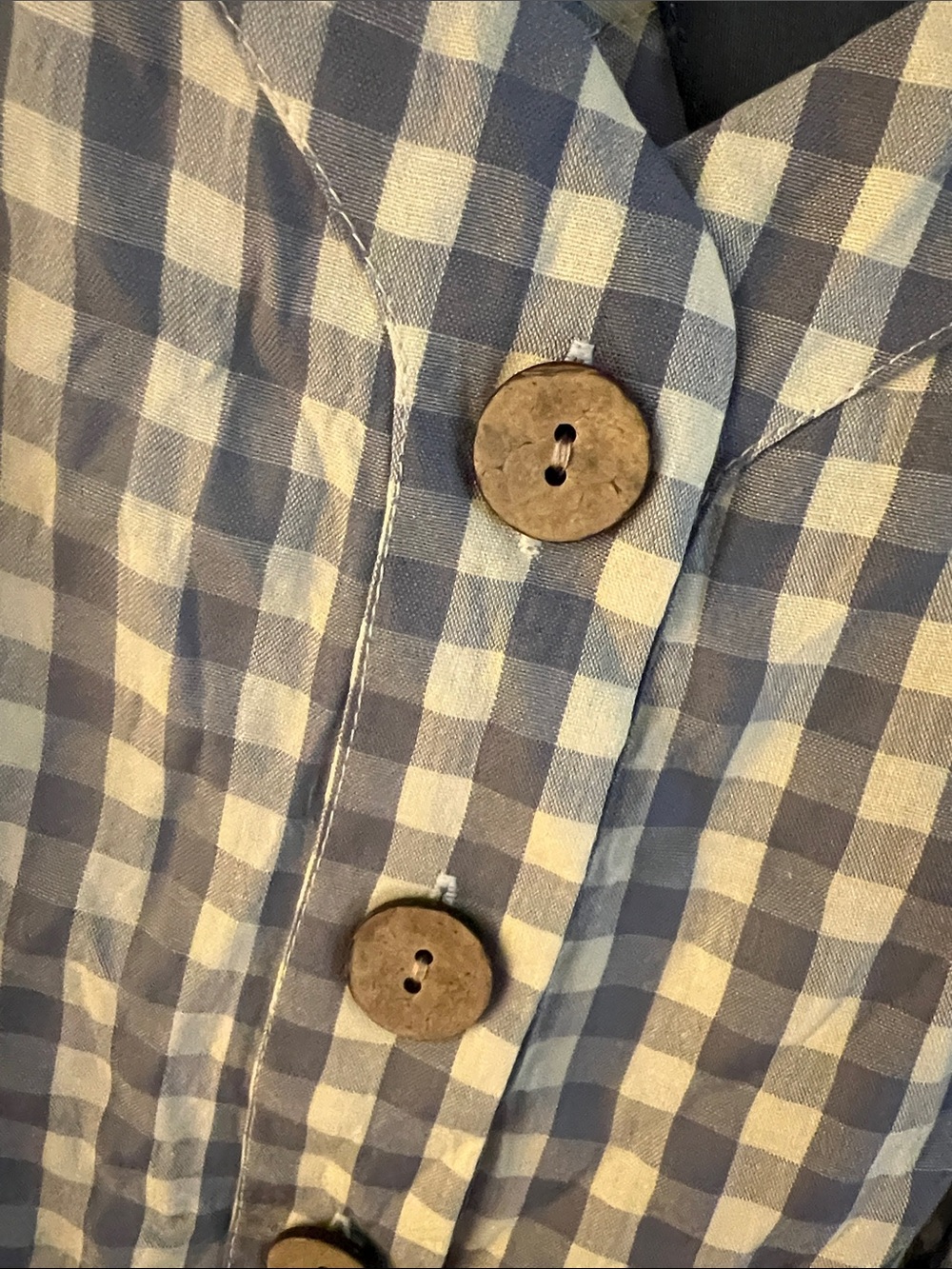 Blue and White Gingham Button-Front Cami - Picture 4 of 5